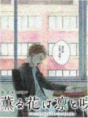 东风影院热播综艺客栈夜话
